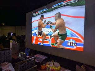 Ultimate Fighting Championship for the Dreamcast.